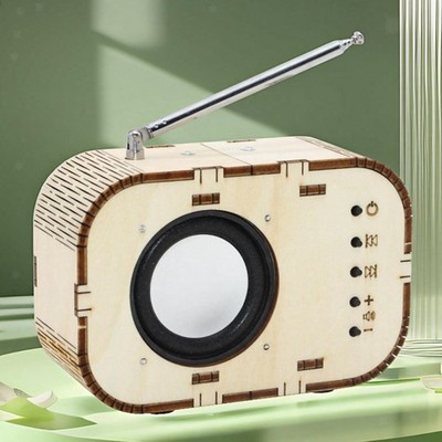 Scientific Experiment Model, DIY Radio Model, Creative Educational Puzzle,