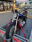 2006 Harley Davidson Sportster L