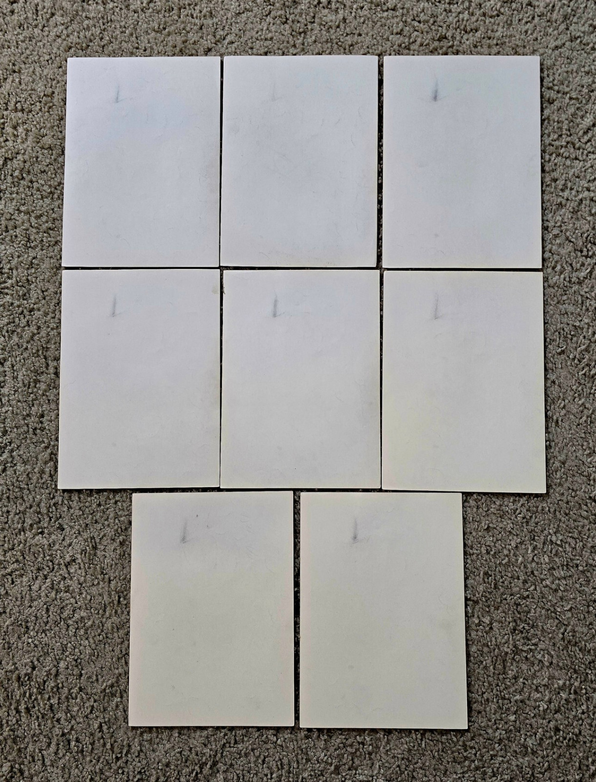 Picture 6 of 6