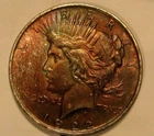1922 PEACE DOLLAR  ID NO. D-8902 MAYBE NATURAL TONED
