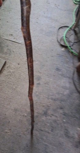** EXCELLENT VINTAGE NATIVE AMERICAN OJIBWA STAFF BEAR CLAN TOTEM  VERY NICE!* - Picture 3 of 11