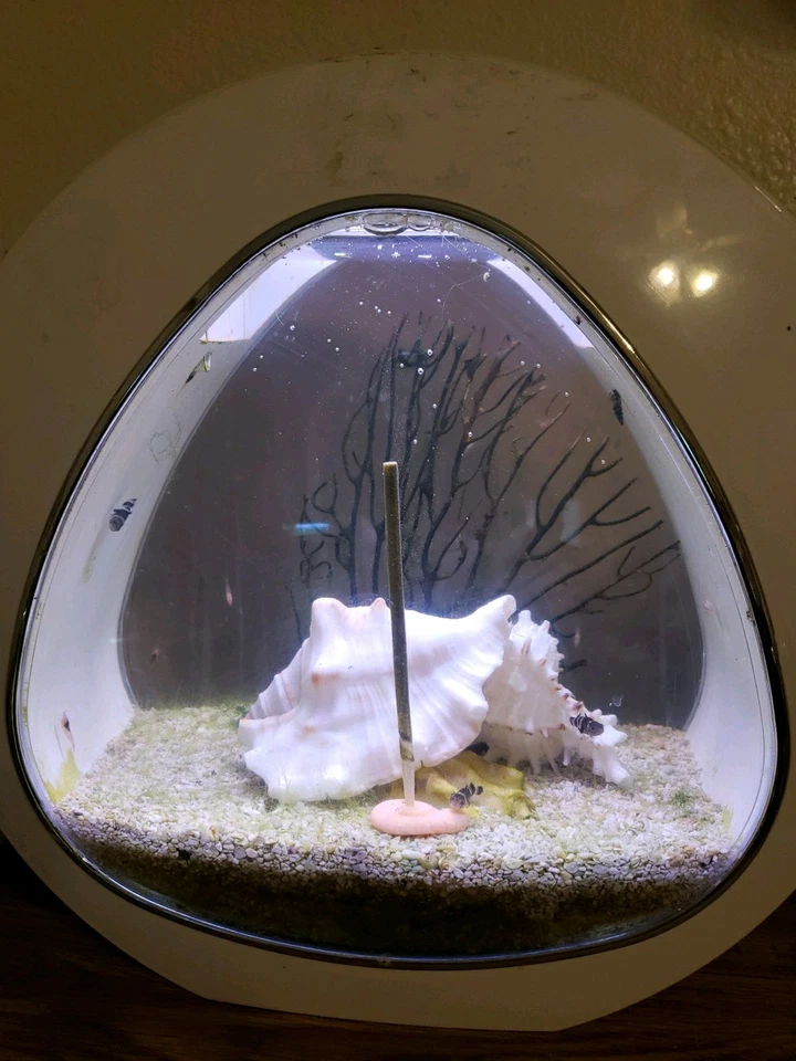 Shrimp Lollie Nano 15 ct Garden Variety & Holder Shrimp Food Home Made In USA - Image 3 of 4