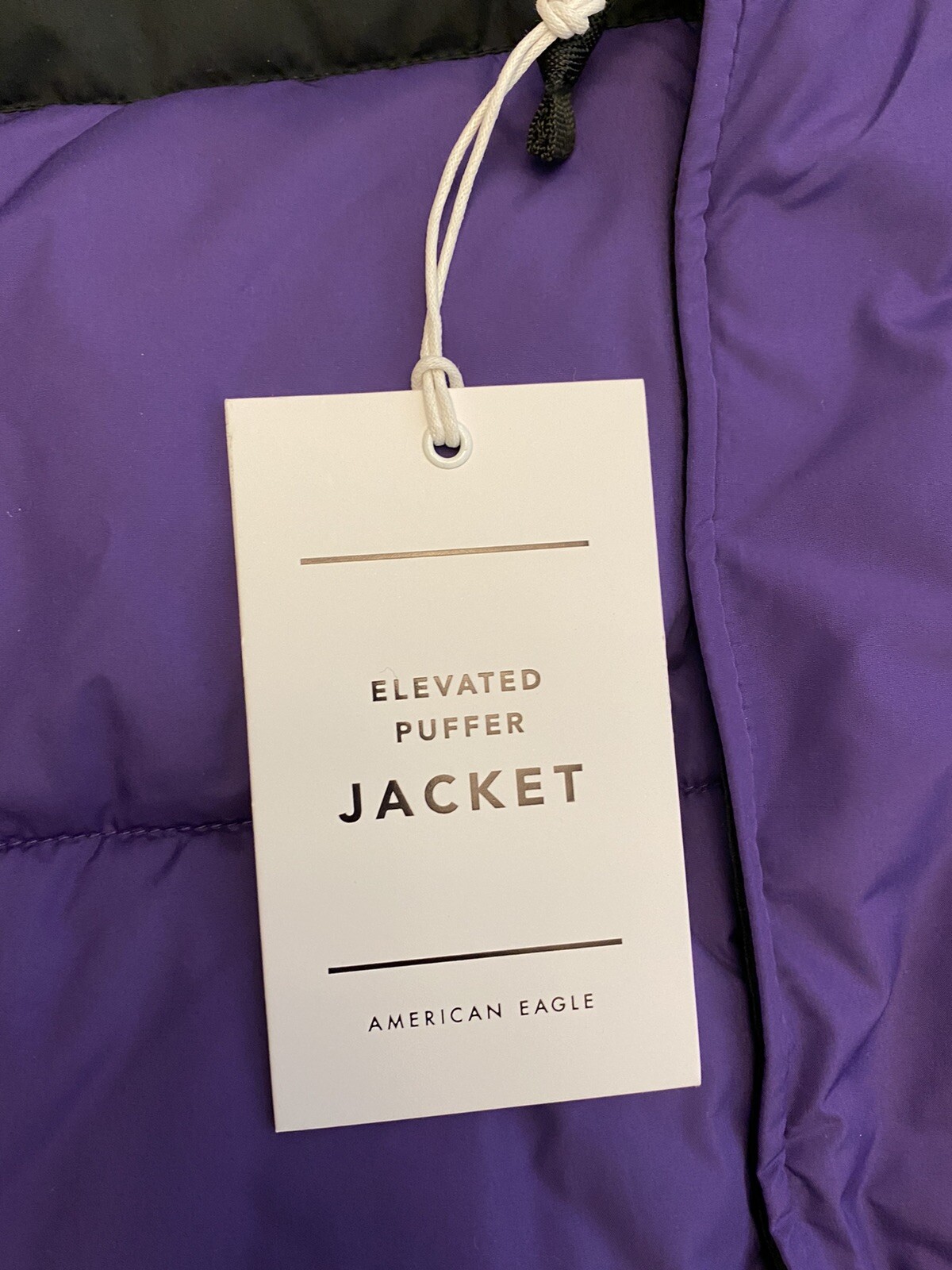 American Eagle Elevated Puffer Hooded 