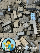 100 Dark Bluish Gray LEGO Basic Bricks 2x2 2x3 2x4 - Random Basic Bulk Lot