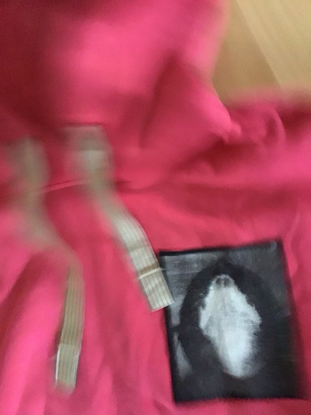 Bild 8 von 8