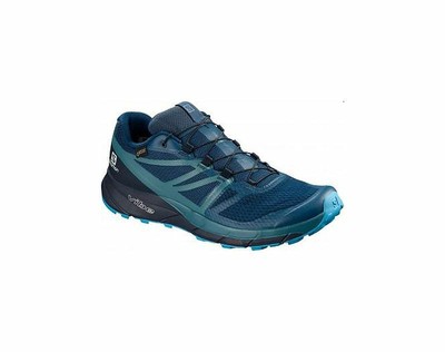 salomon sense ride 2 men