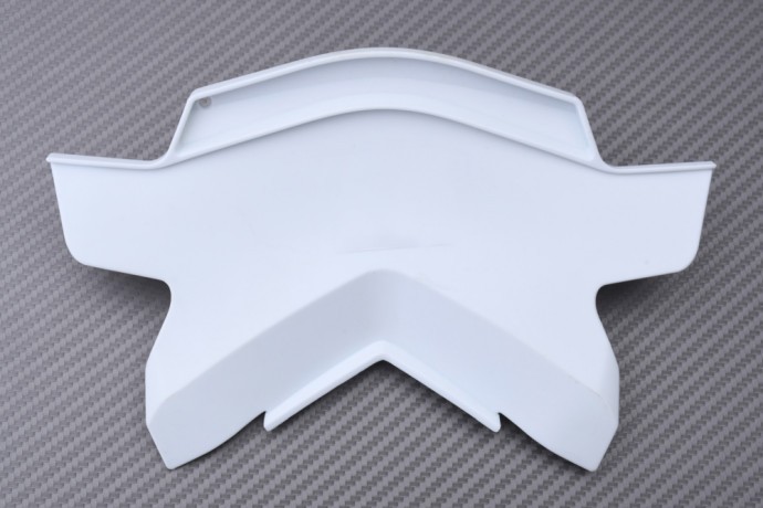 Coque arrière Kawasaki ZX-10RR habillage carrosserie de rechange Ninja 2021 2022 2023 2024