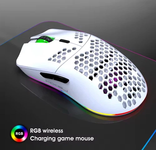 Souris de Jeu sans Fil Souris RGB Ergonomique en Nid d'abeille Léger 24G avec...