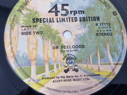 The Pirates - All In It Together Special Limited Edition 12'' Vinyl Dr Feelgood - Bild 8 von 11