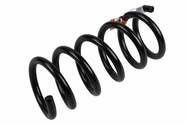 Resorte de suspensión trasero para GM Equinox/Terrain 2010-2017 (N/P 20839863)