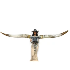 Real Longhorn Skull High End Art | Collector's Piece | 99.9 Pure Silver 813