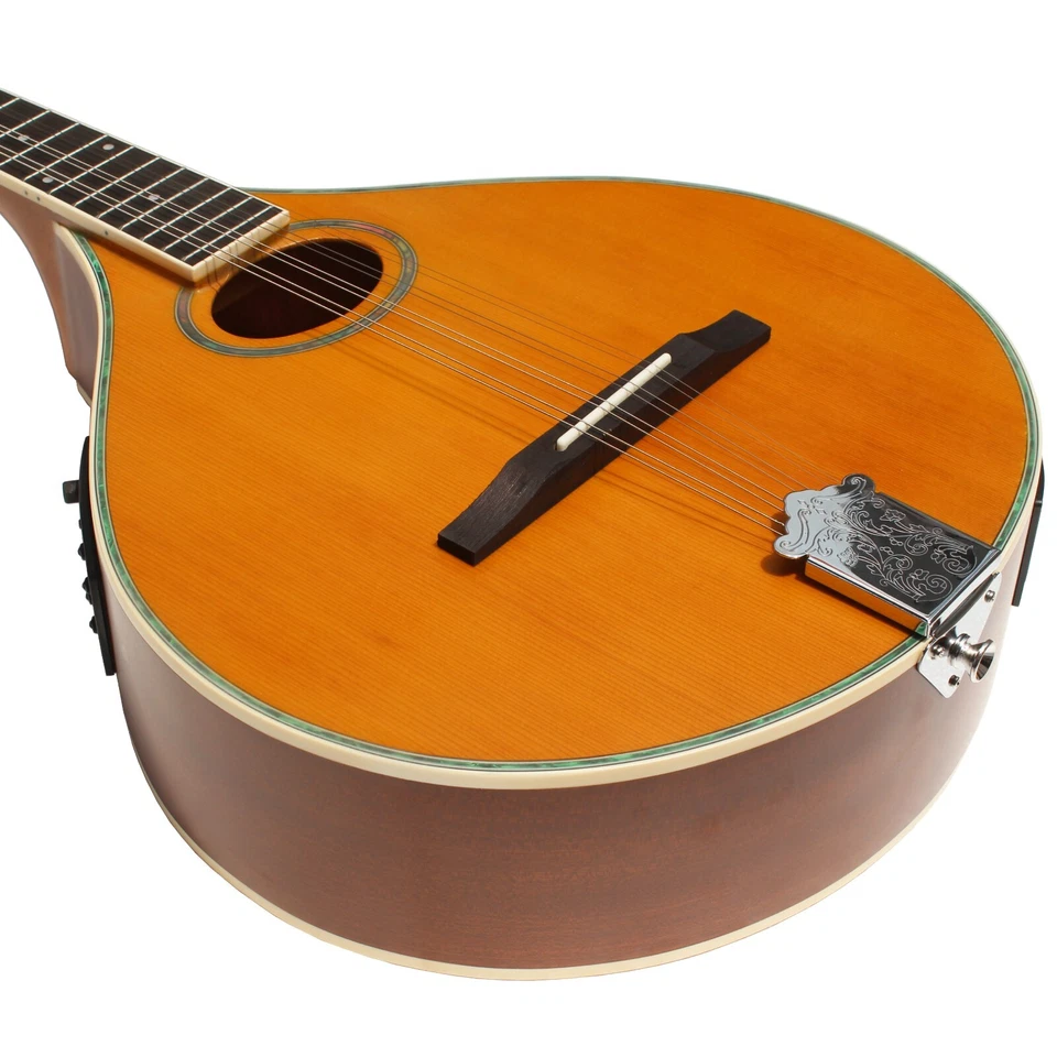 Mandola Solid Red pine top / Sapele Back & Sides With EQ - Image 4 of 4