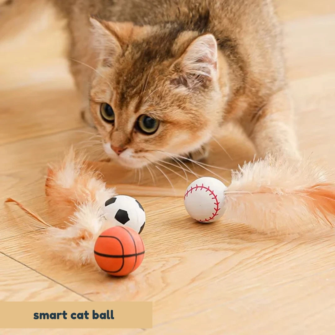 Smart Cat Ball | Interactive Bouncy Feather Toy for Indoor Cats & Kittens
Opens in a new window or t