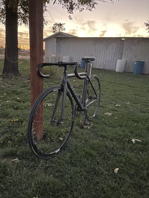 fixie ebay
