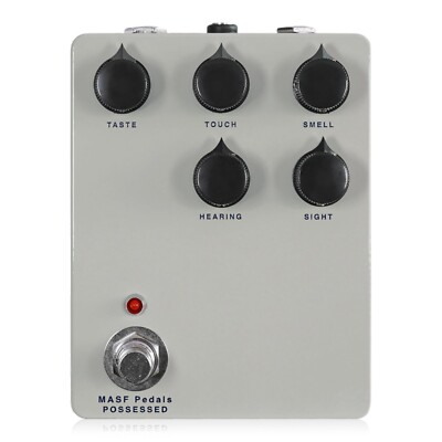 MASF POSSESSED Madness Specific Sound lifting delay domestic