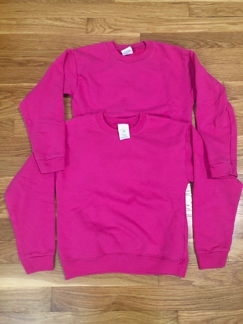 Lot of 2 Girls Youth Medium 10-12 Pink Hanes Sweatshirts 50/50