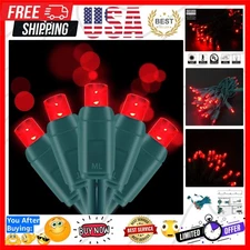 Dimmable Waterproof 5mm Red LED String Lights, 17ft for Festive Outdoor Lighting