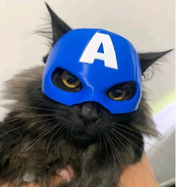 Máscara de gato Capitán América Disfraz Juegos con disfraces Casco de mascota Marvel Sombrero de superhéroe Foto 4 de 4