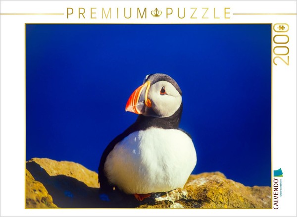 Calvendo Puzzle Papageitaucher 2000 Teile Puzzle Quer | 2000 Teile Lege-GrößE 90-image