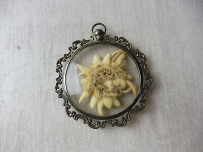 Alter Volksanhänger, getrocknete Edelweißblume, Silber