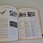 Picture 16 of 20