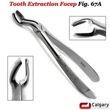 Tooth Extraction Forceps FIG # 67A Upper Wisdoms Extracting Dental Instruments