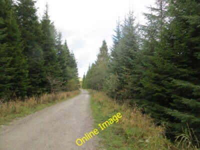 Foto 6x4 Holzfällerstraße, Gisburn Wald werfen am Ausgang von Haus gebacken, c2014
