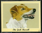 THE JACK RUSSELL - Man's Best Friend Dog Breed Collectors Card Set - Terrier Art