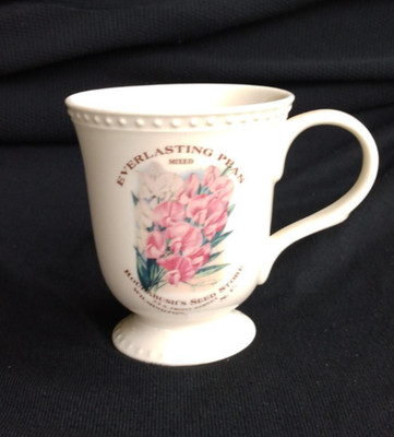 Vntg ROUTABUSH'S SEED STORE'' Wilmington, N.C. Everlasting Peas~Bone China T Cup