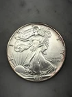 Toned In Capsule 1991 American Silver Eagle 1 Troy Oz .999 Fine Silver ~FREE S&H