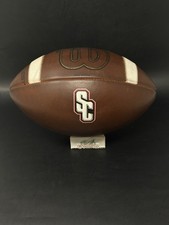Wilson GST NCAA NFHS Stamped Leather Football Used and Conditioned