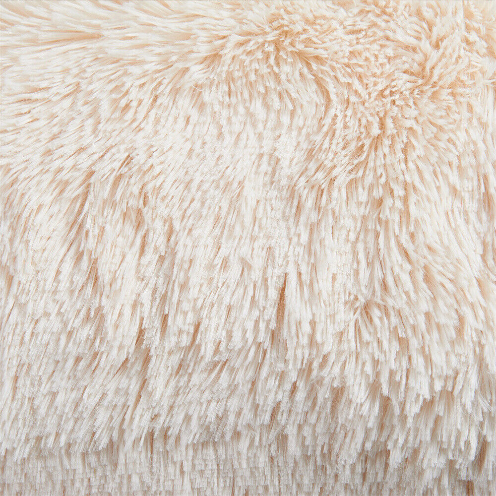 Picture 9 of 69