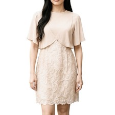 Adrianna Papell Dress Women Size 4 Cream Sheer Lace New