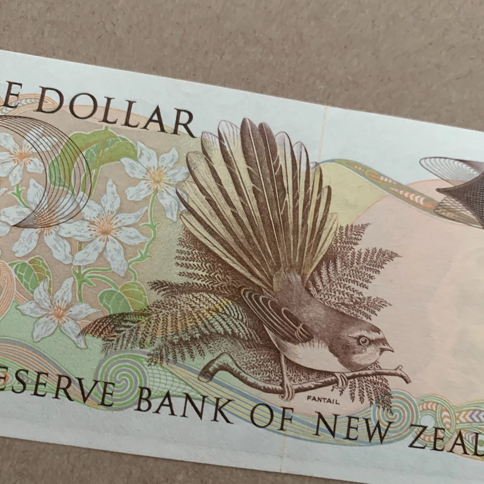 新西兰 1 美元纸币 1970 年代 Fantail Bird 货币动物纸币 — 第 3/4 张图片