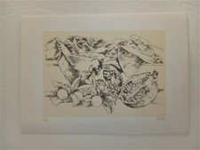 Pietro Cicoli litografia cm 25x35