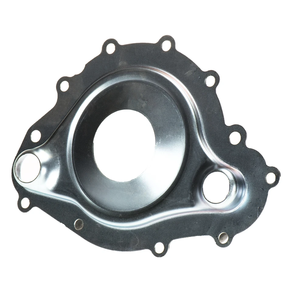 Placa divisoria carcasa bomba de agua genuina nueva 69-74 Firenird GTO Lemans 9796349 Foto 4 de 4