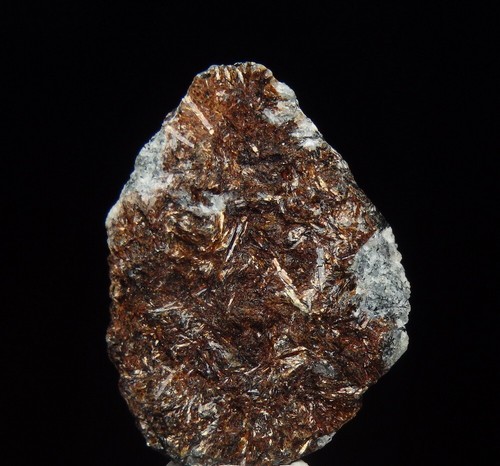 ASTROPHYLLITE lustrous crystals - Russia KOLA - Khibiny - Eveslogchorr Mt /pl251 - Picture 15 of 15