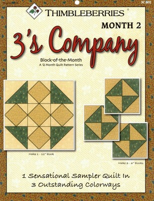 3s company quilt block of the month 1 project month 2 by thimbleberries ebay