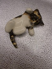 Winstanley Tortoiseshell Cat Size D Laying On It’s Back In Playful Pose