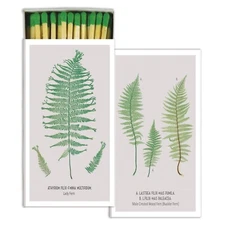 Decorative Ferns Set of 3 Large Matchboxes with Wooden Matches