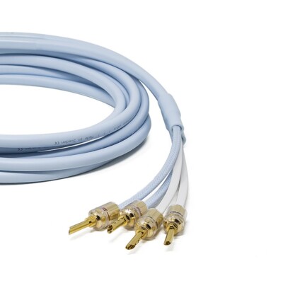 Cavi Altoparlanti OFC Decibel – Coppia Da 3 Metri, Terminali A Banana Placcati Oro, Per Impianti HiFi E Home Cinema