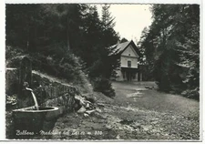 TRENTO (318) - BOLBENO Madonna del Lares - FG/Vg 1963