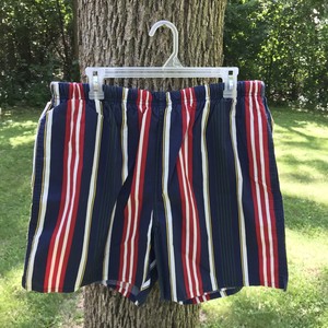 vertical striped swim trunks