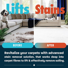 Dirtbusters Spot Cleaning Solution Carpet Cleaner Shampoo (5L) Deep Cleaning... 3.91 per litre