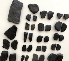 37 pc Fossil Turtle Bone Beach Marine Carapace Seashell art craft mixed media US