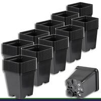 Pflanztopf 100 X 0,5 L Schwarz 9X9X9,7Cm Blumentopf Pflanzgefäß BlumenküBel