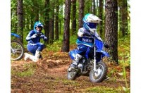 2022 Yamaha TTR - 50