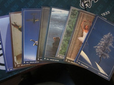 Leica Fotografie Magazine Complete Year 1983 1-8 Issues 43 