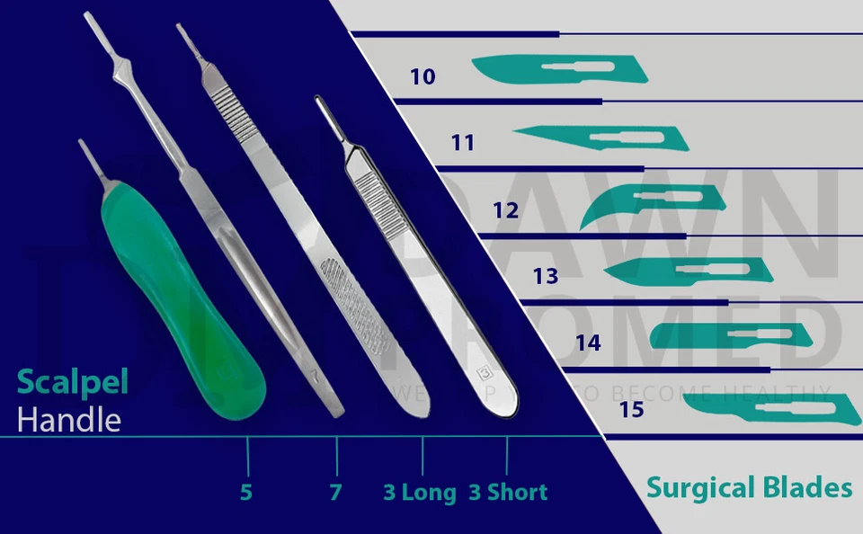 BP 头皮手柄不锈钢,轻便,适合手术刀片德国 Gr — 第 2/3 张图片