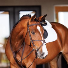 Shires Fancy Square Raised Leather Running Martingale - Oak Premium Quality